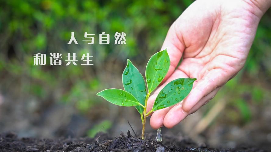 ��������ϵͳ|��Ա��¼|ƽ̨|ע��