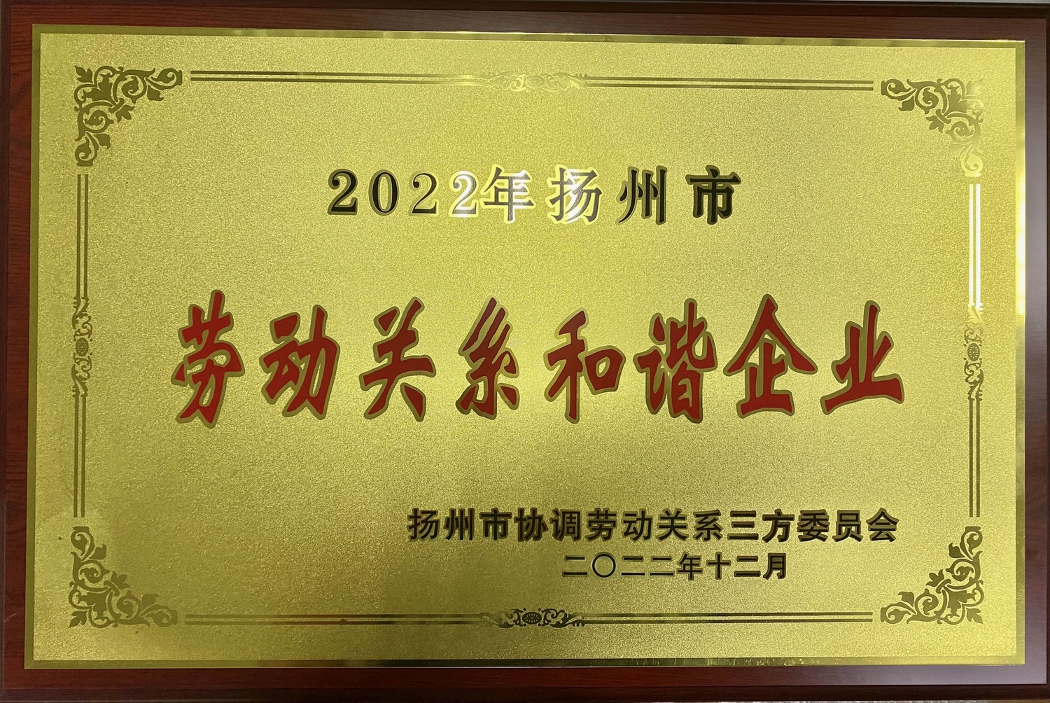 ϲѶ��������ͧ��yth206�����ٻ�2022��ʮ�����Ͷ���ϵ��г��ҵ���ƺ�(ͼ2)